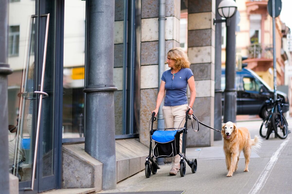 Rollator Gemino 30  - (C) Sunrise Medical